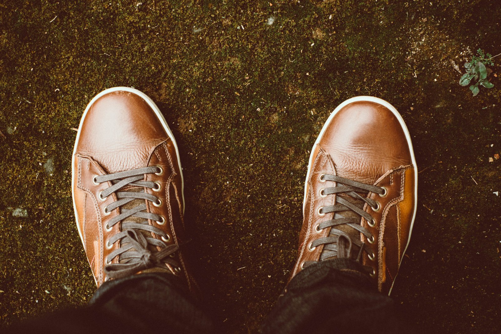 Caring for Your Shoes So They Last for Years